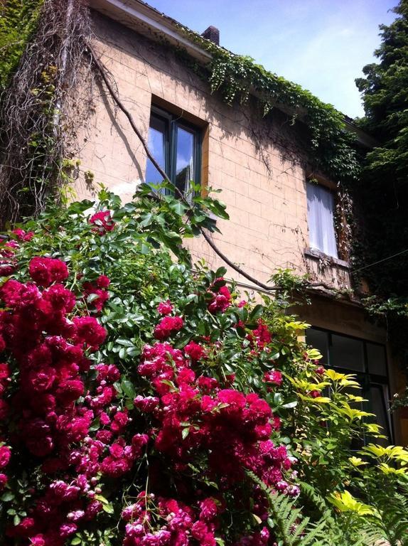 Guest House Backhouse 布鲁塞尔 外观 照片