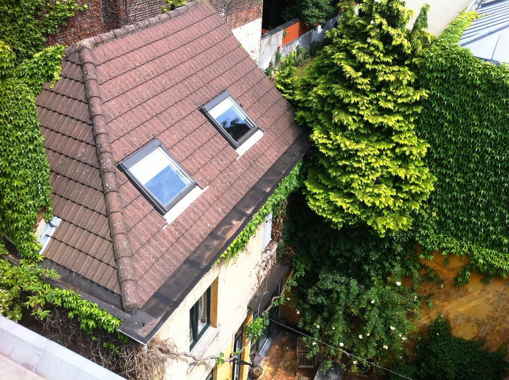 Guest House Backhouse 布鲁塞尔 外观 照片